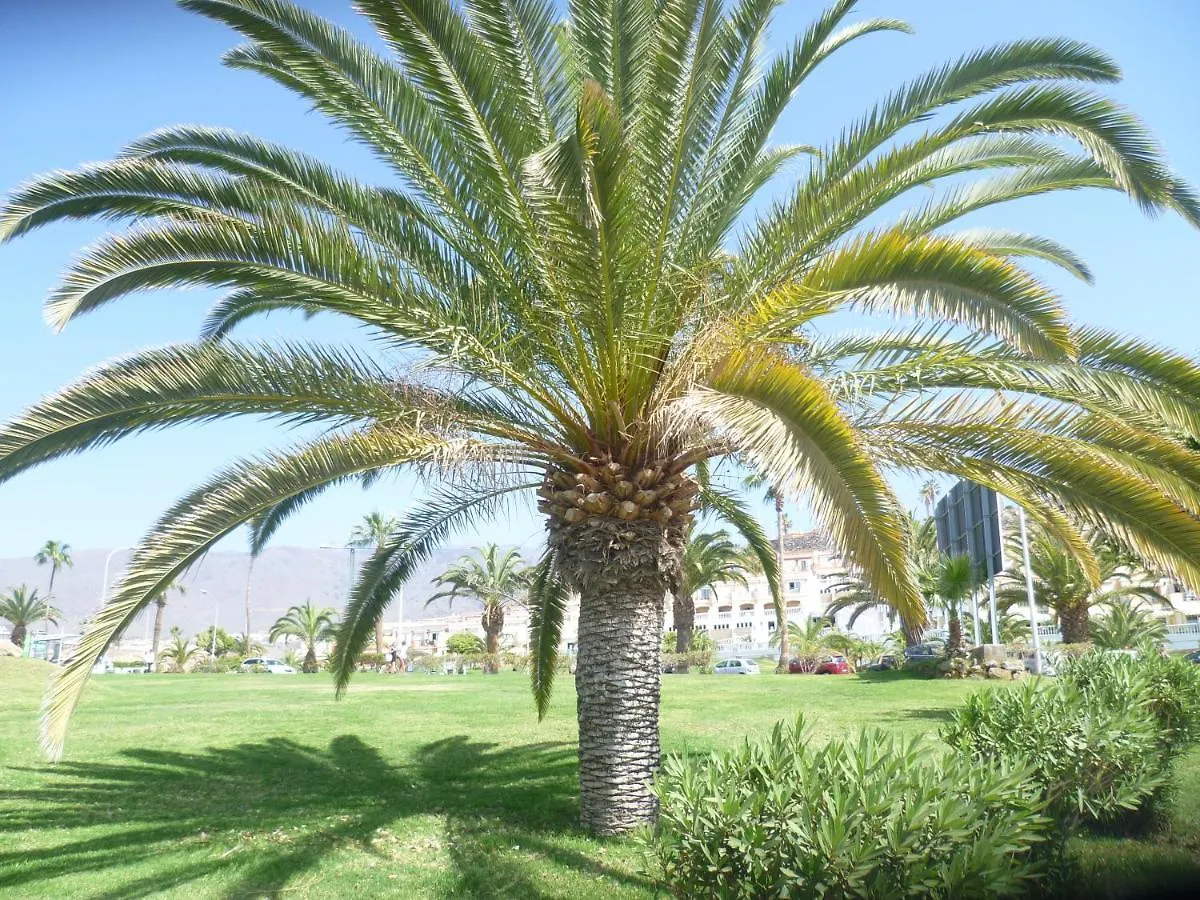Elana Apartment With Free Wifi Costa Del Silencio Spanien