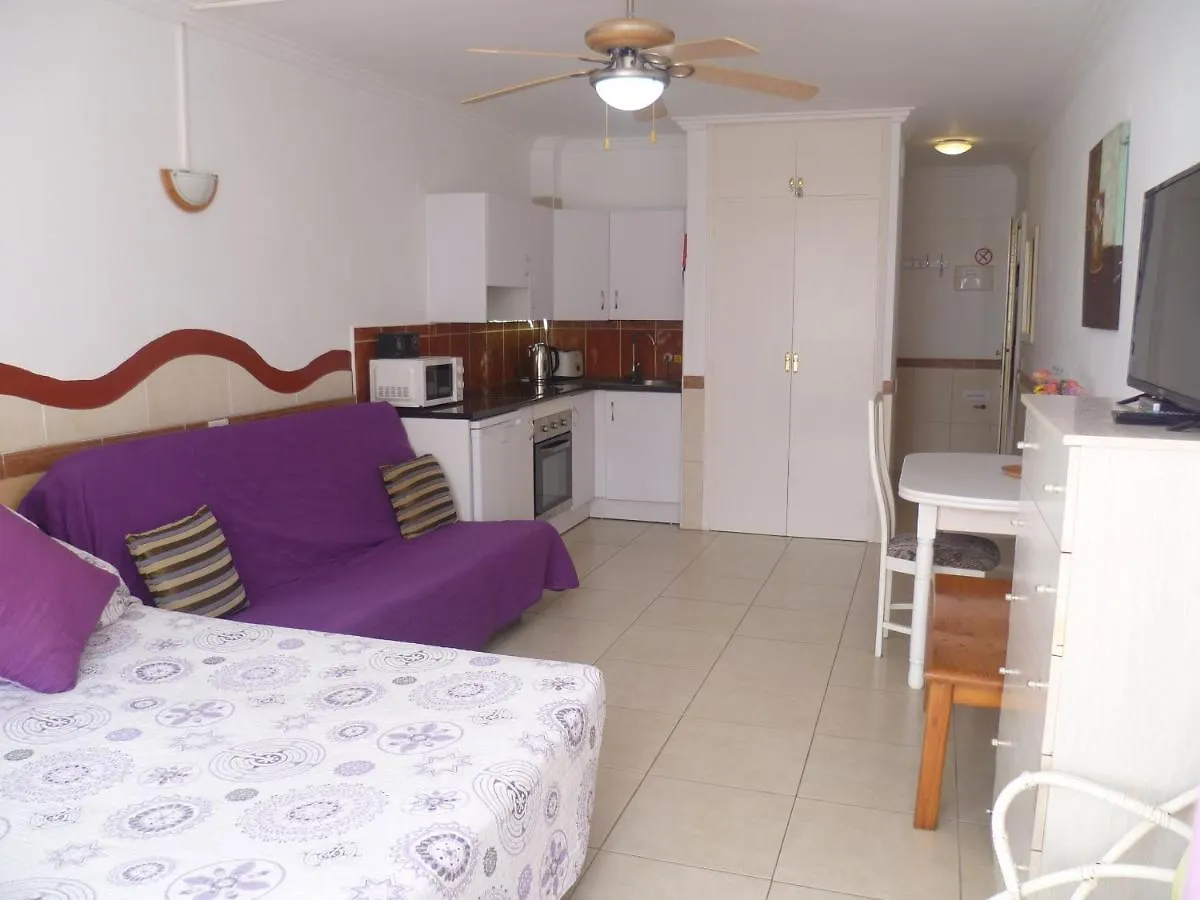 Elana Apartment With Free Wifi Costa Del Silencio