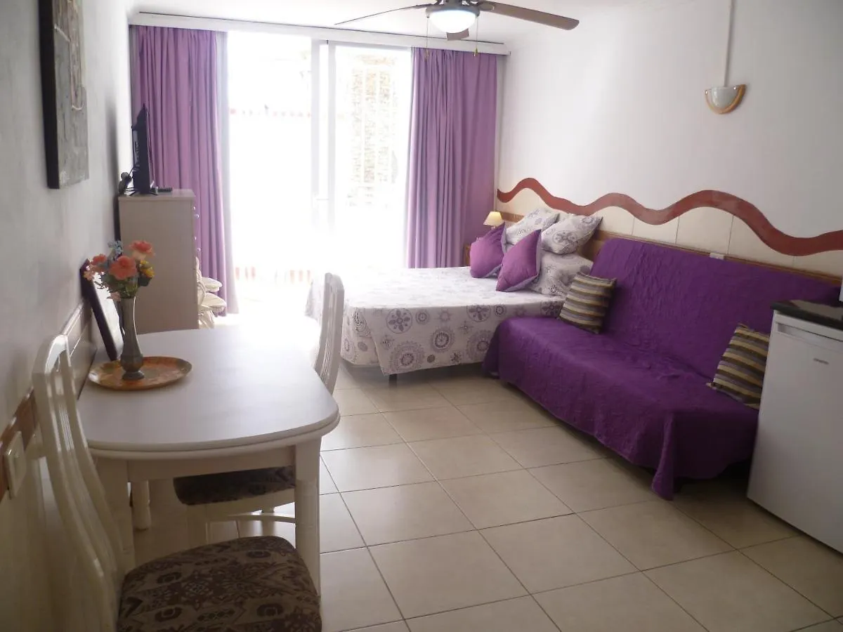 Elana Apartment With Free Wifi Costa Del Silencio