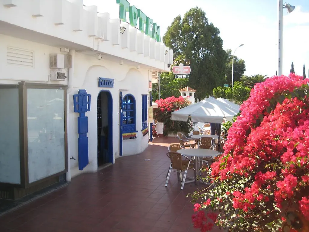 Elana Apartment With Free Wifi Costa Del Silencio