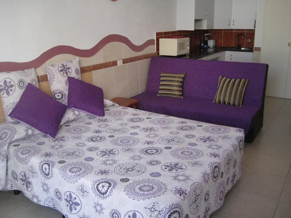 Elana Apartment With Free Wifi Costa Del Silencio