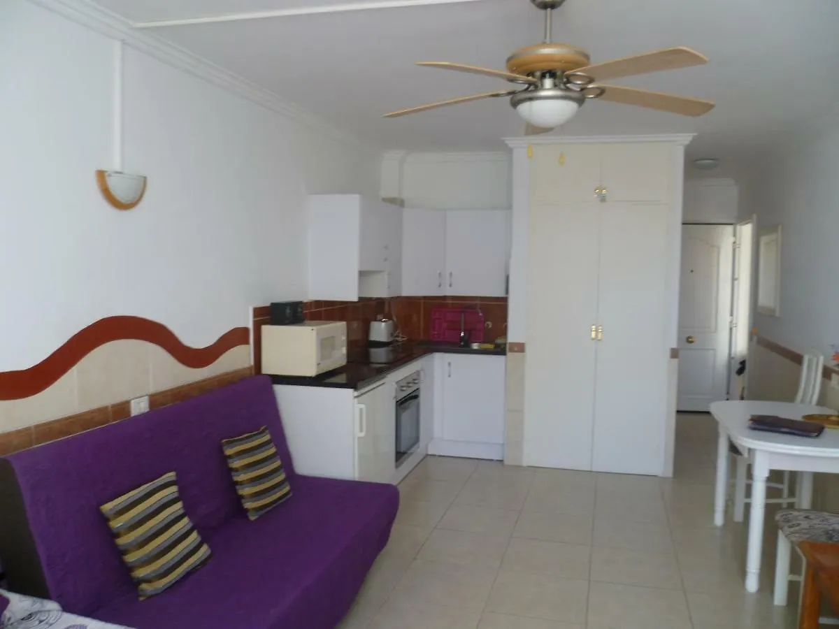 Elana Apartment With Free Wifi Costa Del Silencio