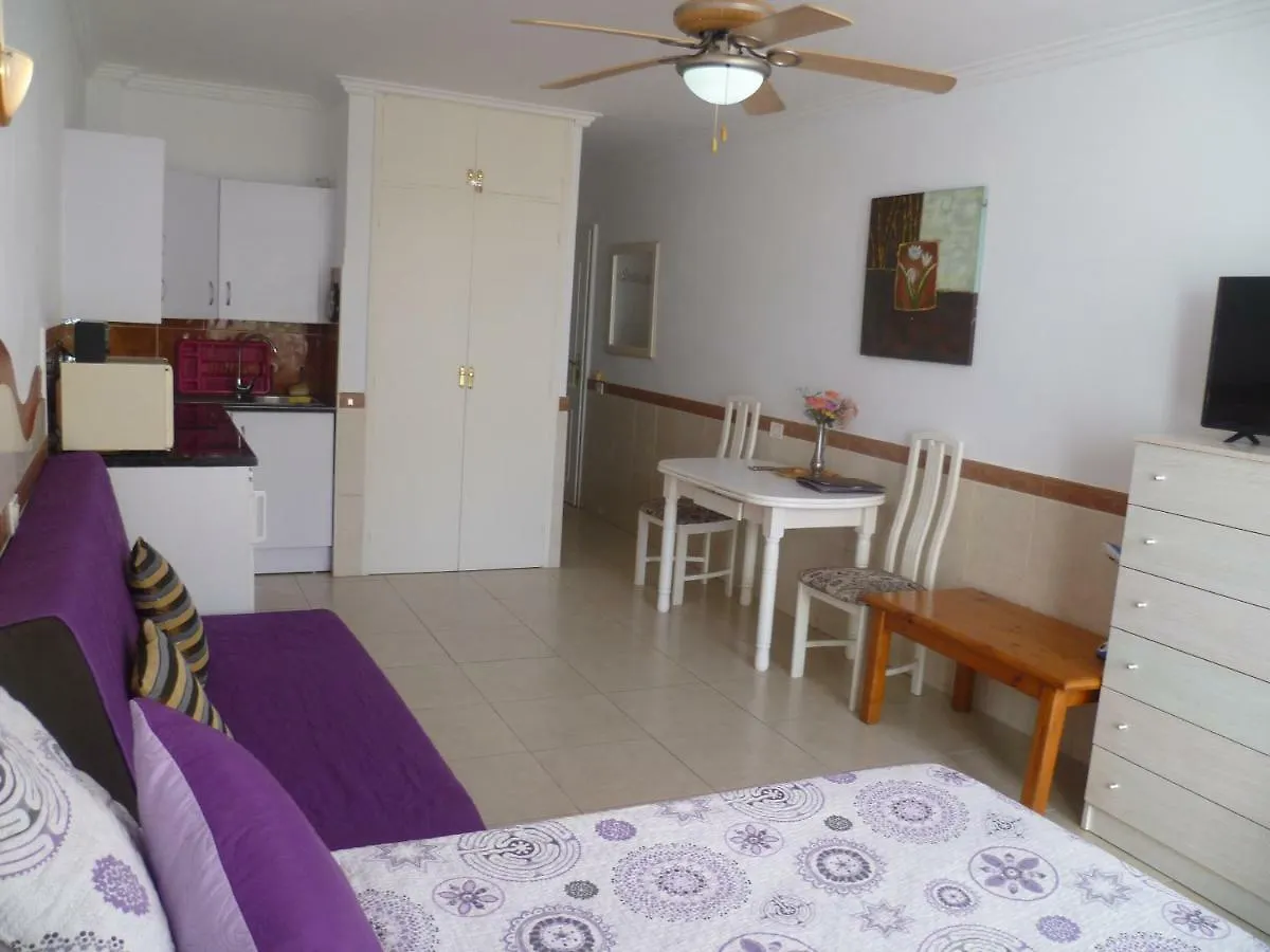Elana Apartment With Free Wifi Costa Del Silencio 0*,  Spanien