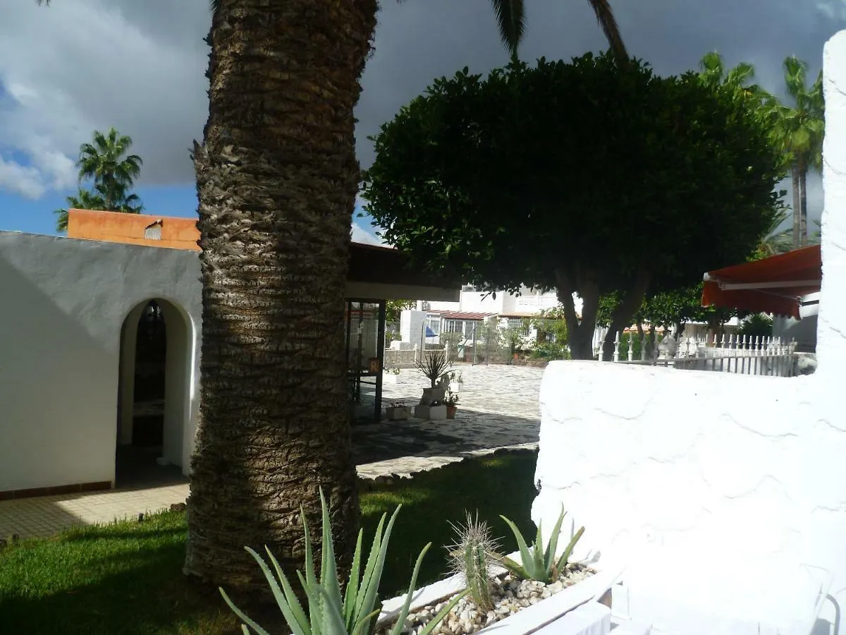 Elana Apartment With Free Wifi Costa Del Silencio