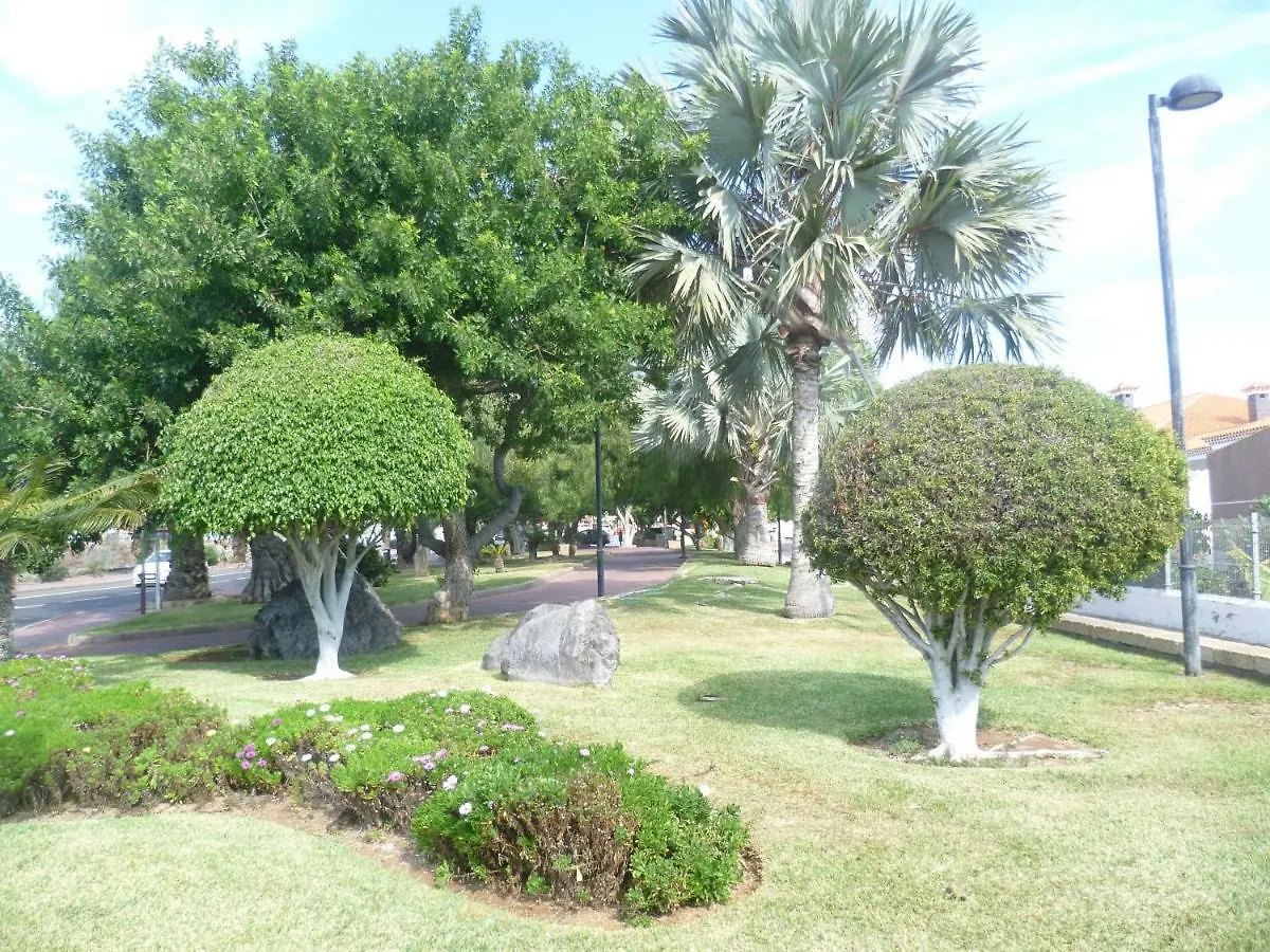 Elana Apartment With Free Wifi Costa Del Silencio Spanien